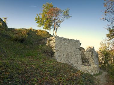 PA2476952.jpg