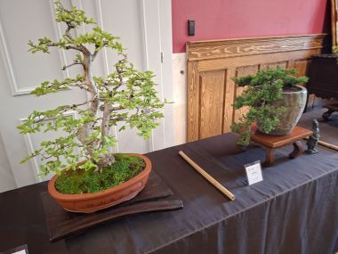 090526_Agrofest_8.jpg
