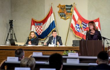 Zupanijska_skupstina_studeni_2022  8.jpg