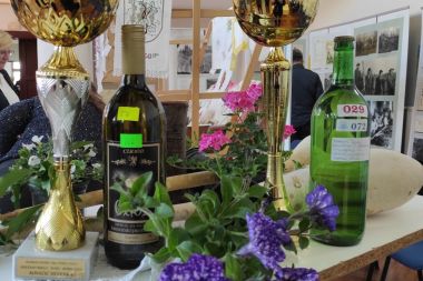 izlozba_vina_vinea_vinica_2023 2.jpg
