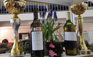 izlozba_vina_vinea_vinica_2023 3.jpg