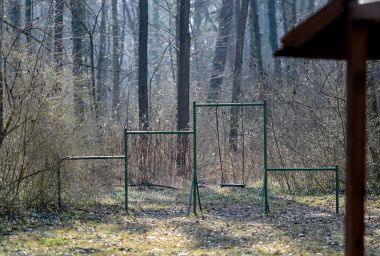 040322_Dravska_park_suma _15.jpg