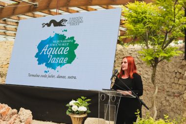 IMG_3653.jpg