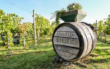 zupanijska_berba_vinogradi_ludbreski_2023 12.jpg