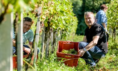 zupanijska_berba_vinogradi_ludbreski_2023 3.jpg