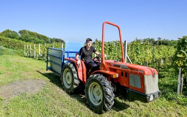 zupanijska_berba_vinogradi_ludbreski_2023 4.jpg