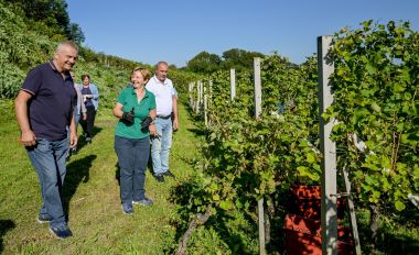 zupanijska_berba_vinogradi_ludbreski_2023 7.jpg