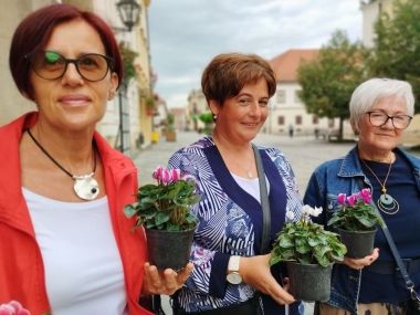 nacionalni dan borbe protiv nasilja nad enama_15.jpg
