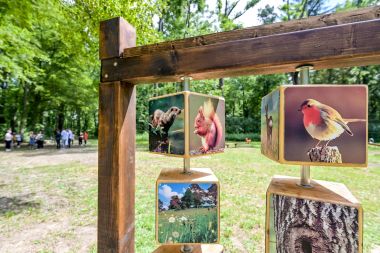 dravska_park_suma 11.jpg