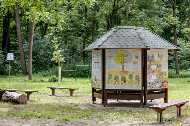 dravska_park_suma 2.jpg