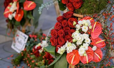 viber_slika_2023-09-21_18-30-27-266.jpg