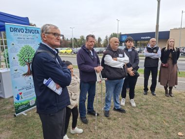 101026_drvo ivota transplantirani_1 1.jpg