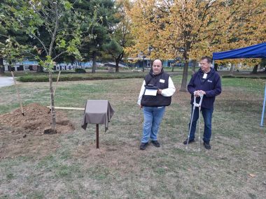 101026_drvo ivota transplantirani_1 10.jpg