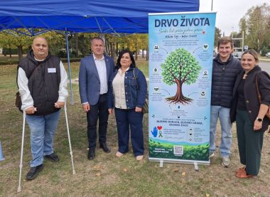101026_drvo ivota transplantirani_1 3.jpg