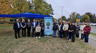101026_drvo ivota transplantirani_1 4.jpg