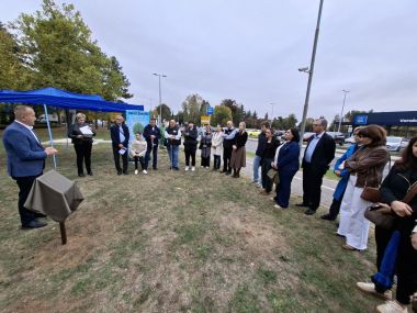 101026_drvo ivota transplantirani_1 8.jpg