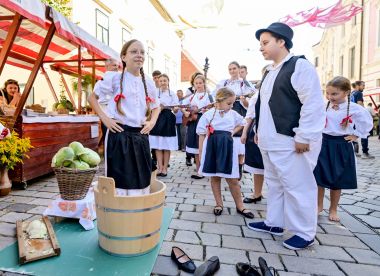 sajam_poljoprivrednih_udruga_savez_dan_zupanije_2024 3.JPG