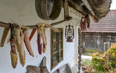 Gresna_pelnica_Klenovnik 36 .jpg