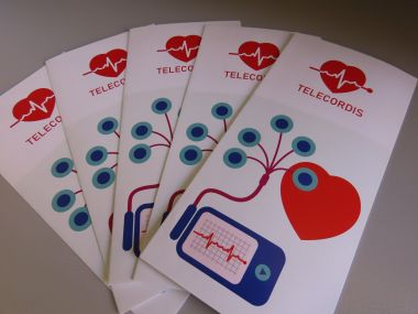 predstavljanje projekta telecordis_03.JPG