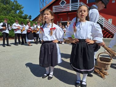 Festival Vidovekog gibanika 13.jpg