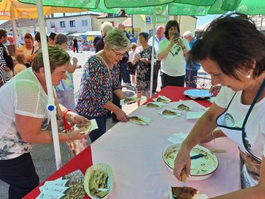 Festival Vidovekog gibanika 16.jpg