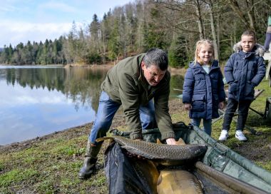 poribljavanje_trakoscansko_jezero_2025   11.JPG