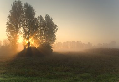 PA0867351.jpg