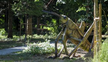 Arboretum_Opeka_obilazak 29.jpg