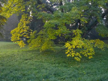 opeka_arboretum 1.jpg
