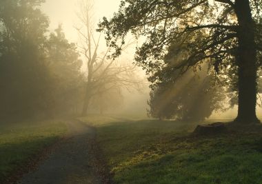 opeka_arboretum 2.jpg