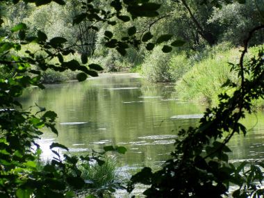 simpozij_projekt_drava_life_vz_2024 1.jpg