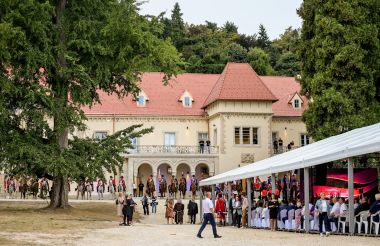 dan_zupanije_dvorac_opeka_husari_koncert_2024 1.JPG