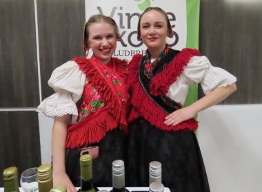 izlozba_vina_ludbreg_2023 7.JPG