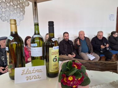 izlozba_vinea 11.jpg