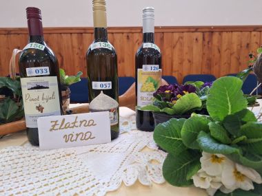 izlozba_vinea 3.jpg