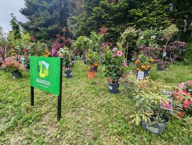 Agrofest24.jpg