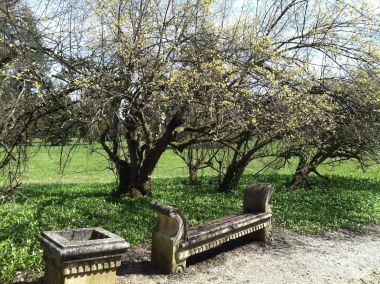 Arboretum-Opeka-parkovni-inventar.jpg