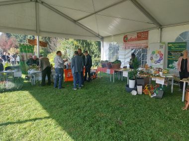 Agrofest 5.jpg