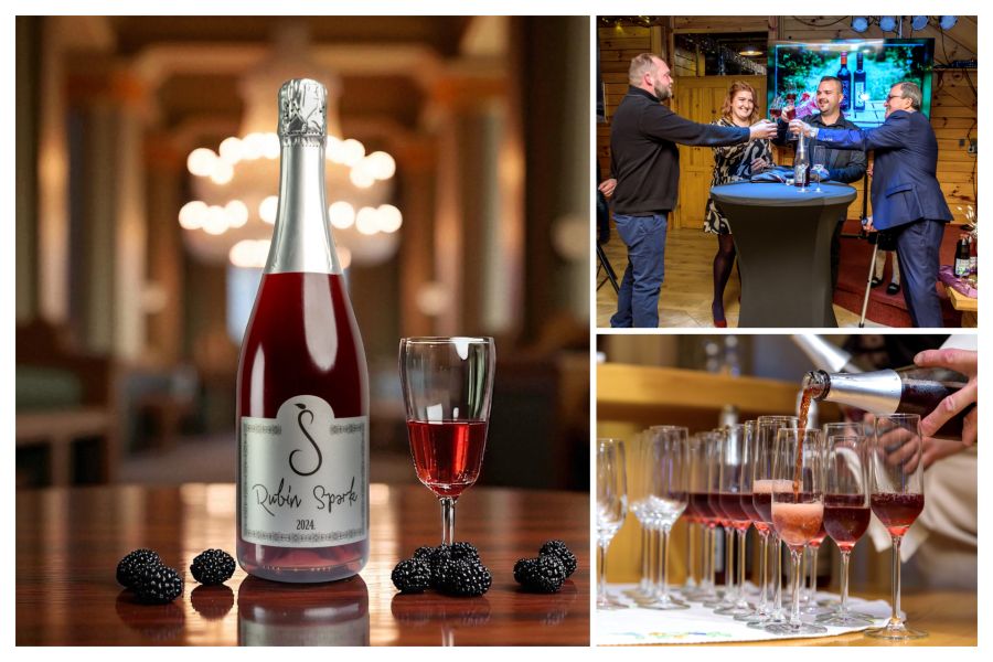 Obitelj Špoljar predstavila prvi pjenušac od kupine   