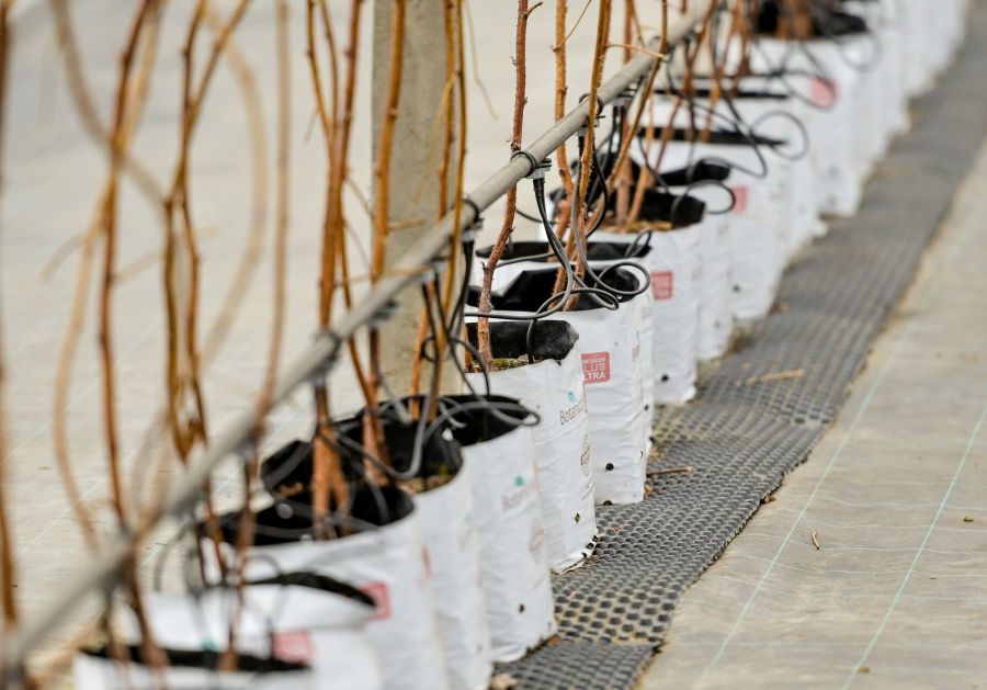 Obrt Vinko- primjer dobre prakse u kori&scaron;tenju županijskih poticaja
