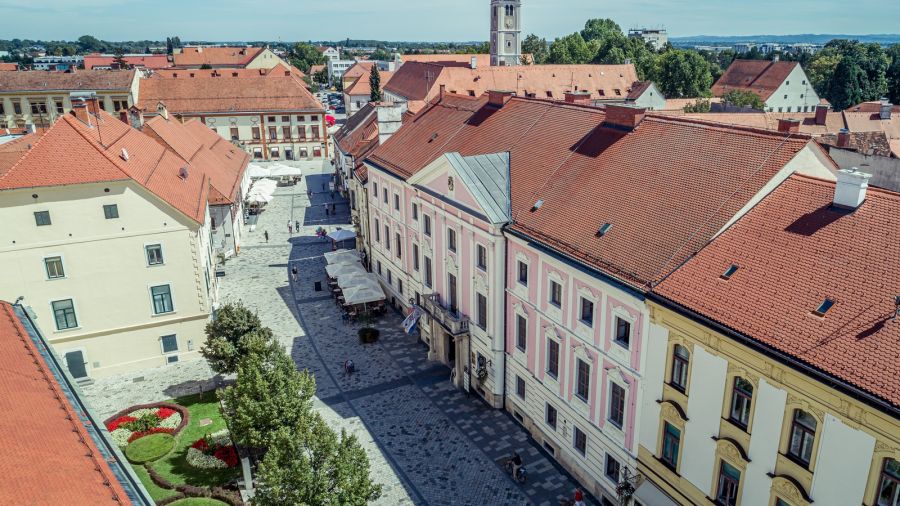 Varaždinska županija objavila Natječaj za dodjelu potpora za doktorski studij za akademsku godinu 2023./24.