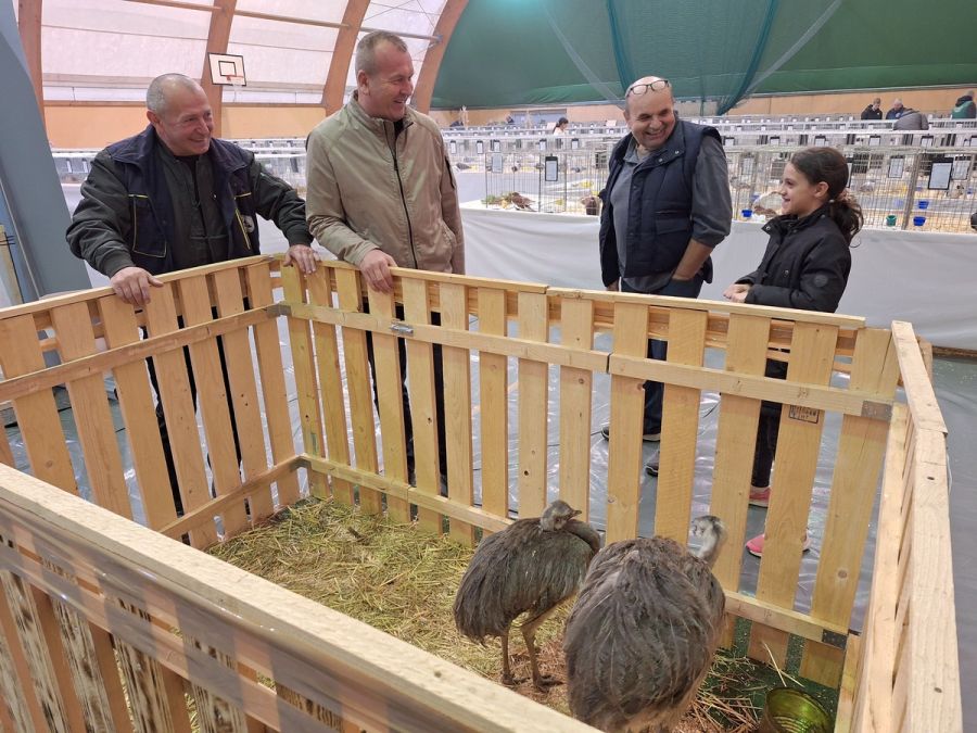U Graberju održana 12. Međunarodna izložba malih životinja