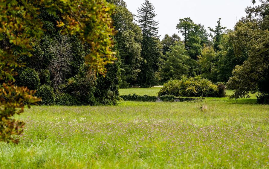 Varaždinskoj županiji 6,6 milijuna eura za obnovu arboretuma Opeka